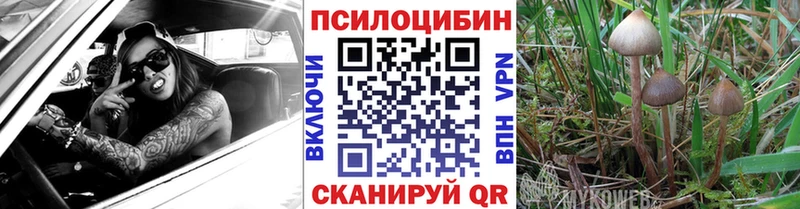 Псилоцибиновые грибы Psilocybine cubensis  как найти закладки  Первомайск 